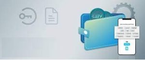 Toegang tot de Wallet-interface